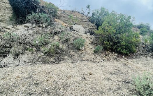 Se vende un terreno rústico de 5778m² con 5 cuevas pequeñas, bancales llanos y unasvistas impresionantes