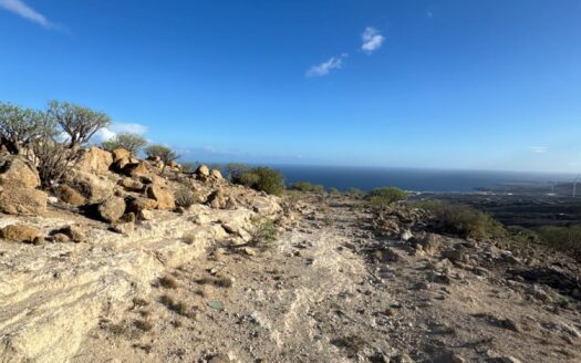 Venta de Terreno Rústico con Cuevas y Magníficas Vistas al Mar en Fasnia
